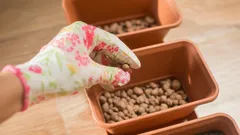 Roky ste keramzit používali nesprávne: na čo vlastne slúži